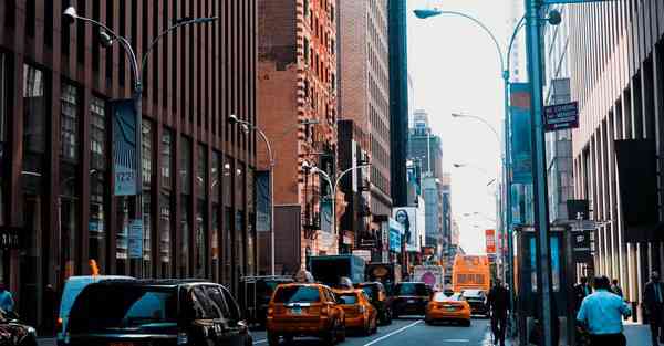 外国语单招大数据的行业文章