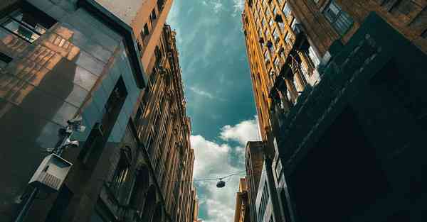 外国语单招大数据的行业文章