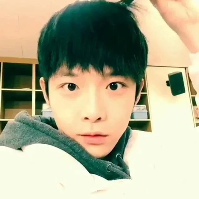 陶思丽勇
