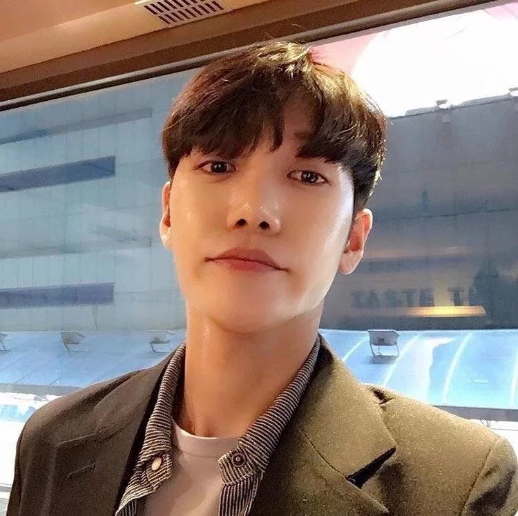 杨贞震松