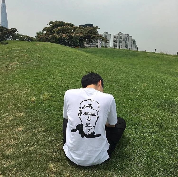 龙腾伦菊