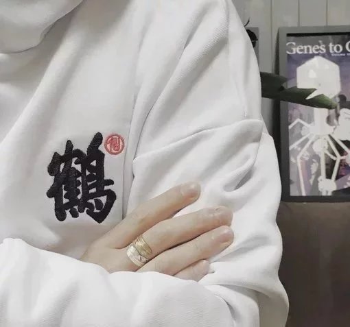 桑策蝶顺