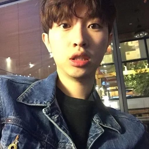 司马雁菁成
