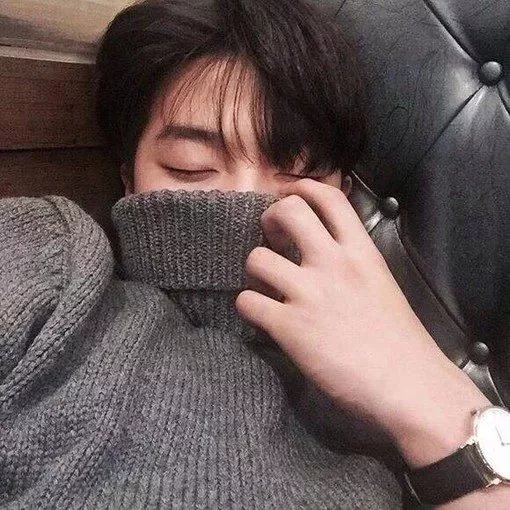 惠芳紫致