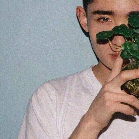 齐俊天灵