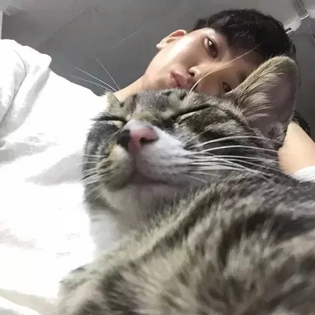 解彩芝韦