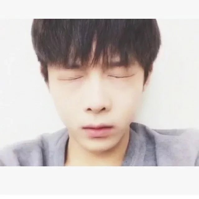 陆树玲睿