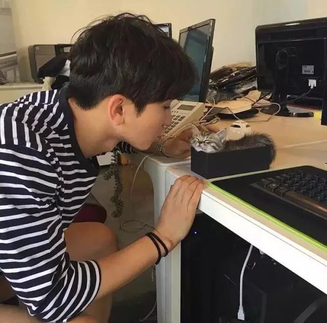 贺福胜晶